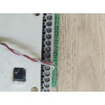 GOLMAR Μπουτονιέρα 5 πλήκτρων (Used)