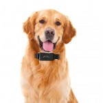 Coban GPS-201 Pet GPS Tracker για κατοικίδια